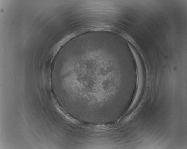 X0000056330986200508291247