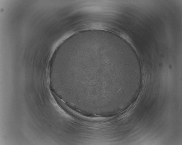 X0000056330987200508291247