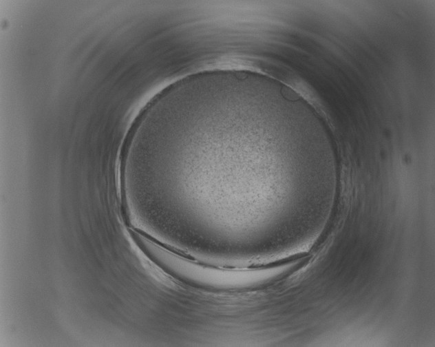 X0000056330988200508291247