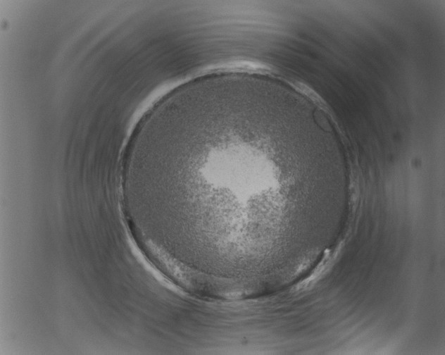 X0000056330989200508291247