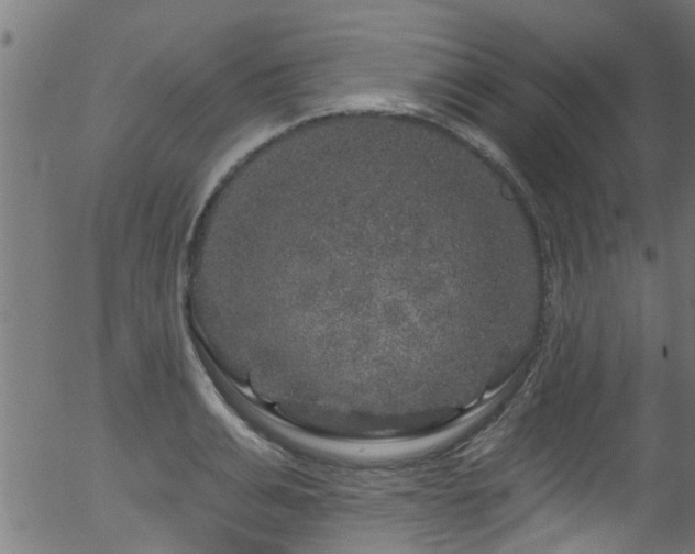 X0000056330991200508291247