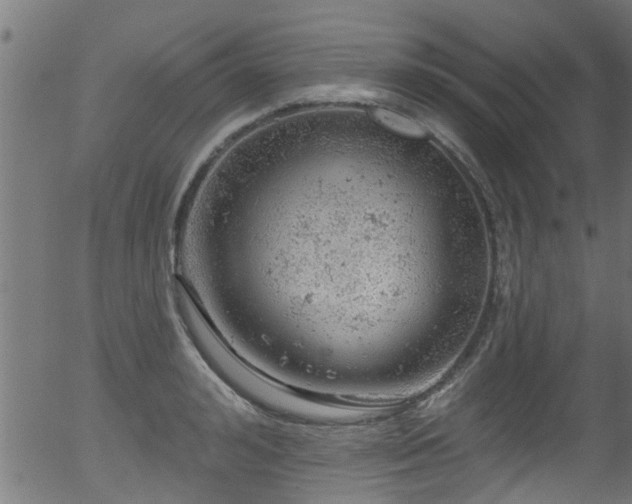 X0000056330992200508291247