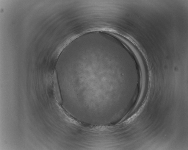 X0000056330993200508291247