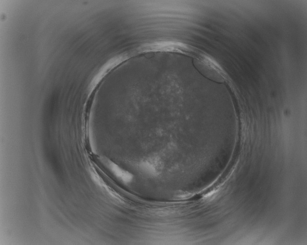 X0000056330994200508291247