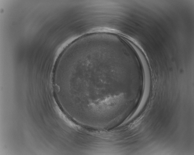 X0000056330995200508291247