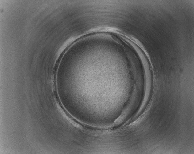 X0000056330997200508291247