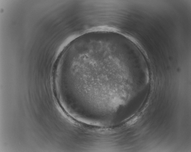 X0000056330998200508291247