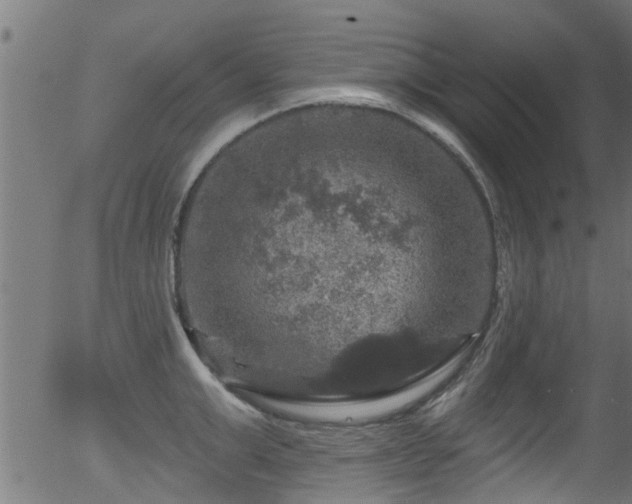 X0000056330999200508291247