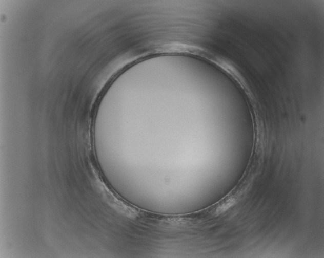 X0000056331000200508291247