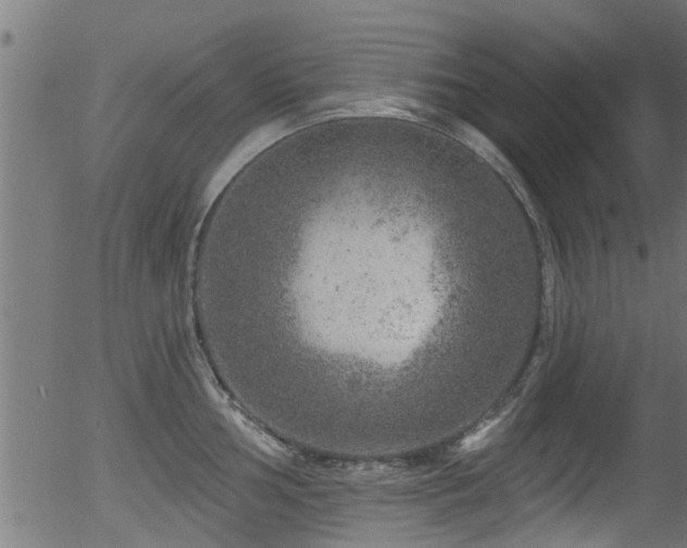 X0000056331002200508291247