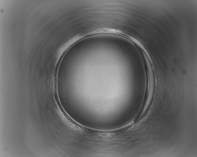 X0000056331003200508291247