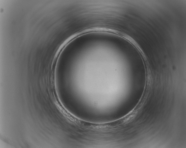 X0000056331004200508291247