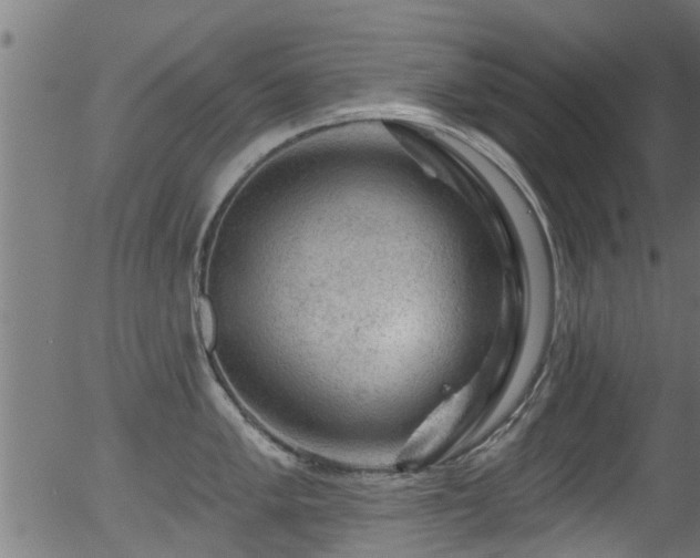 X0000056331005200508291247