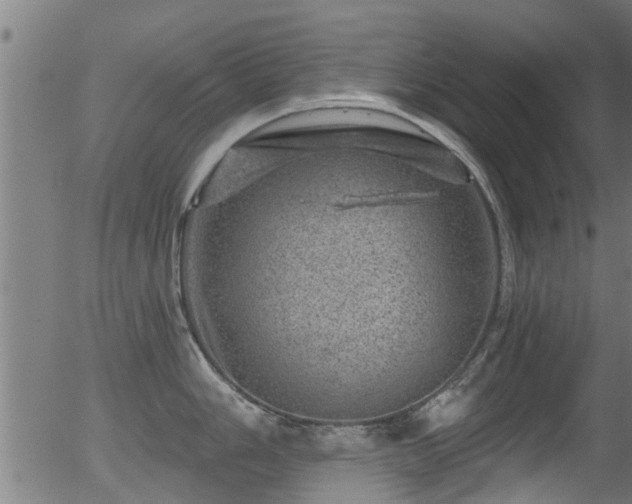 X0000056331006200508291247