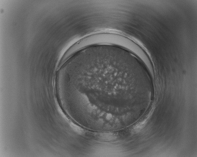 X0000056331007200508291247