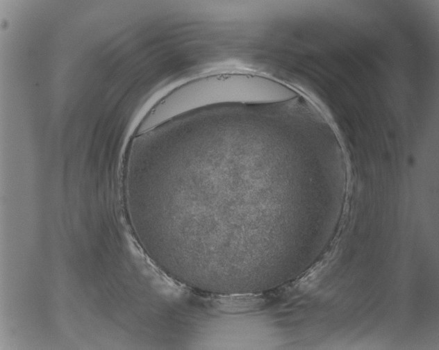 X0000056331008200508291247