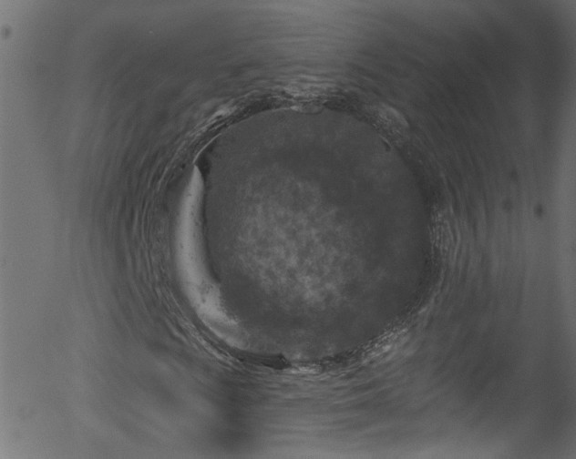 X0000056331009200508291246