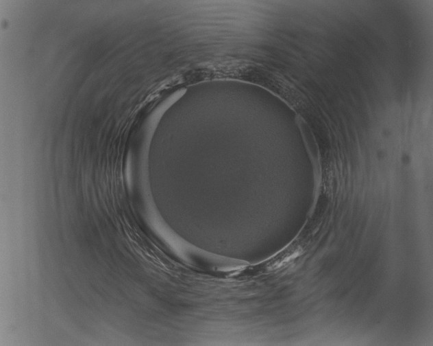 X0000056331010200508291246