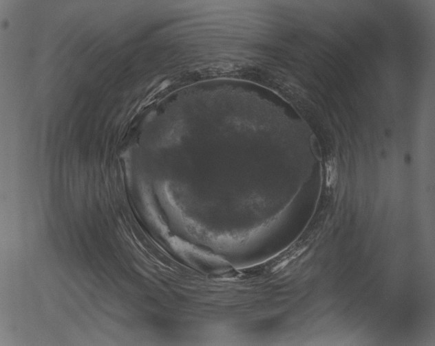 X0000056331011200508291246