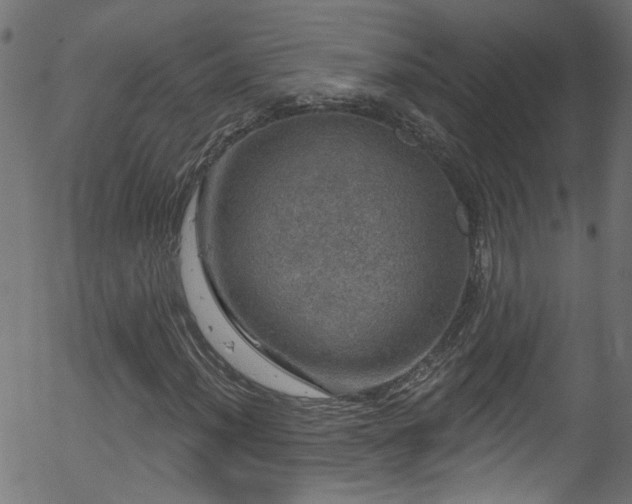 X0000056331012200508291246