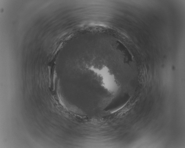 X0000056331013200508291246