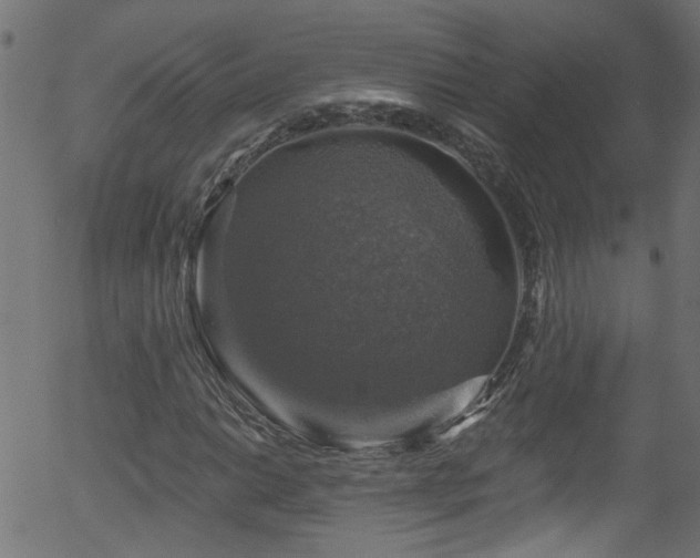 X0000056331014200508291246