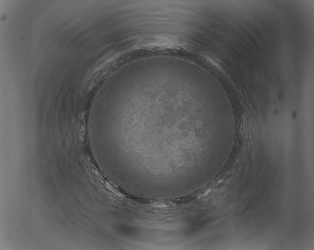 X0000056331015200508291246