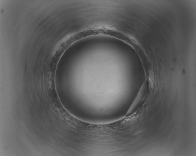 X0000056331016200508291246