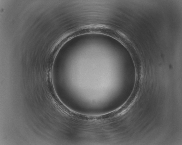 X0000056331017200508291246