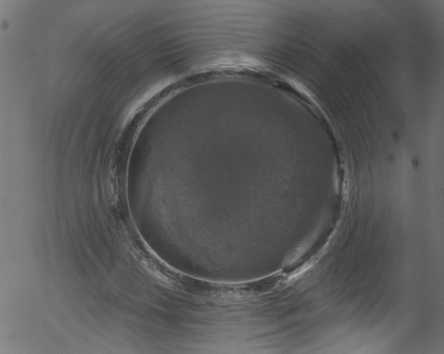 X0000056331018200508291246