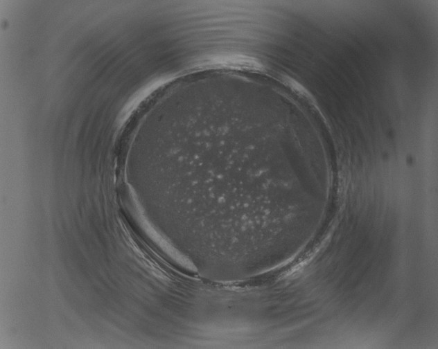 X0000056331019200508291246