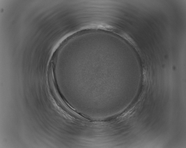 X0000056331020200508291246