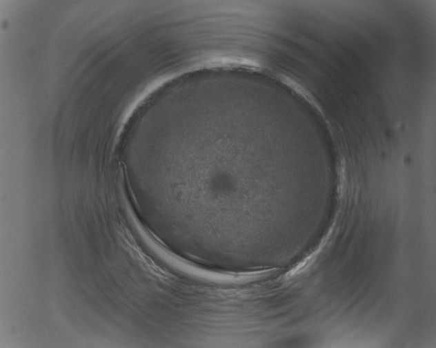 X0000056331021200508291246