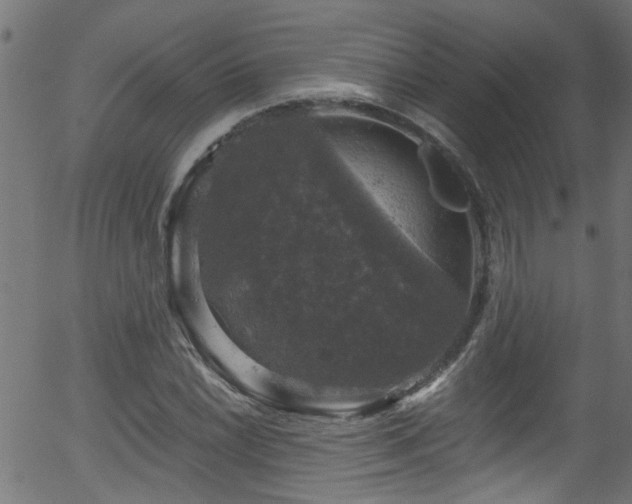 X0000056331022200508291246