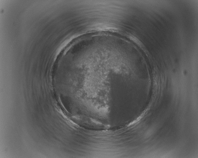 X0000056331023200508291246