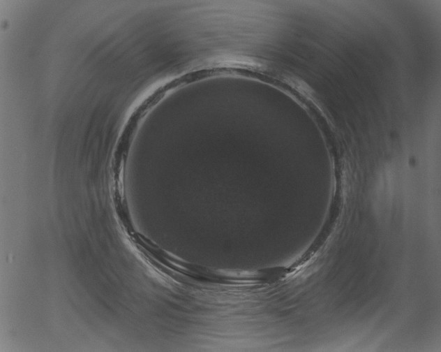 X0000056331024200508291246