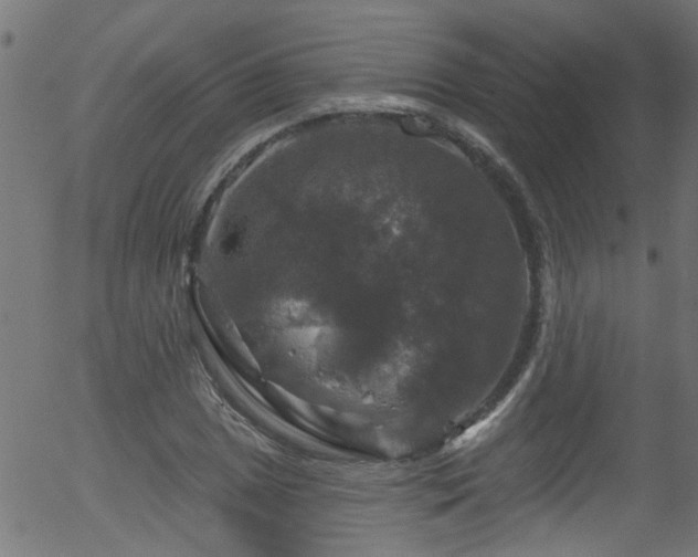 X0000056331025200508291247