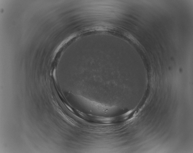 X0000056331026200508291247