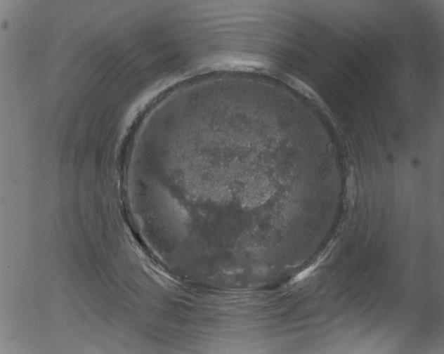 X0000056331027200508291247