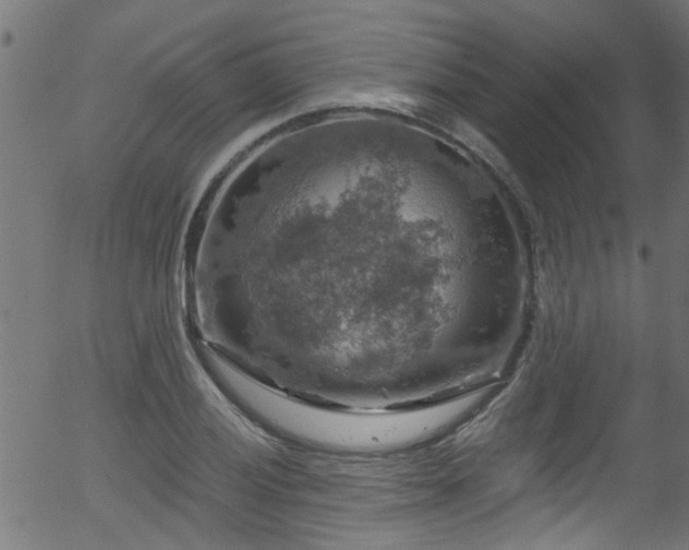 X0000056331028200508291247