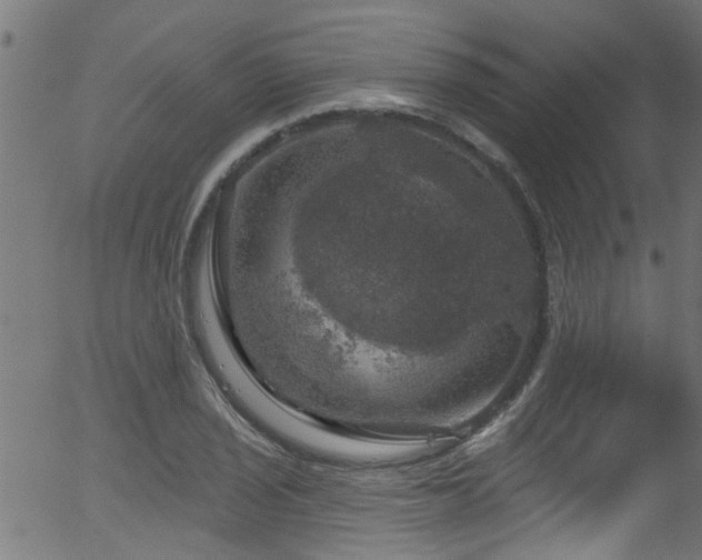 X0000056331029200508291247