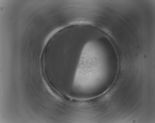 X0000056331030200508291247