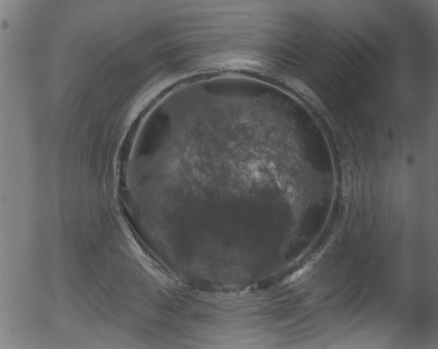 X0000056331031200508291247