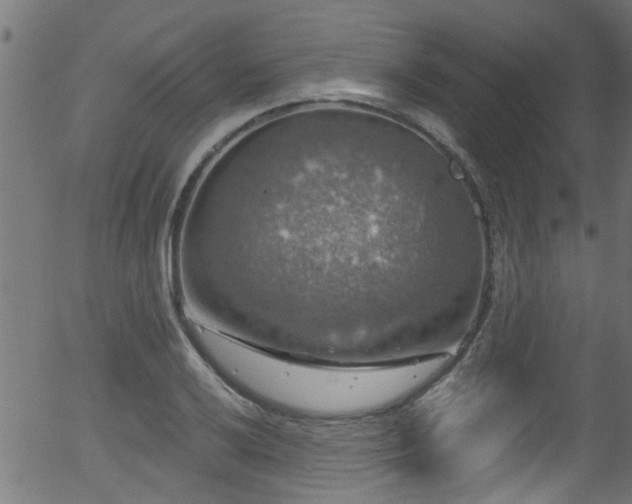 X0000056331032200508291247