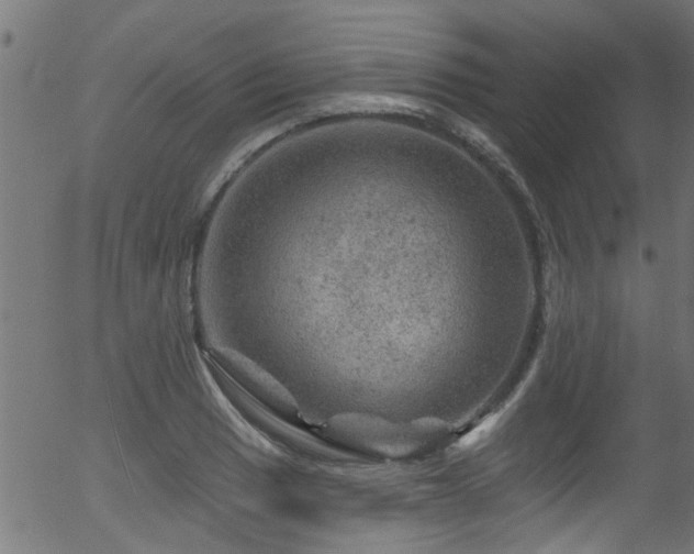 X0000056331033200508291247