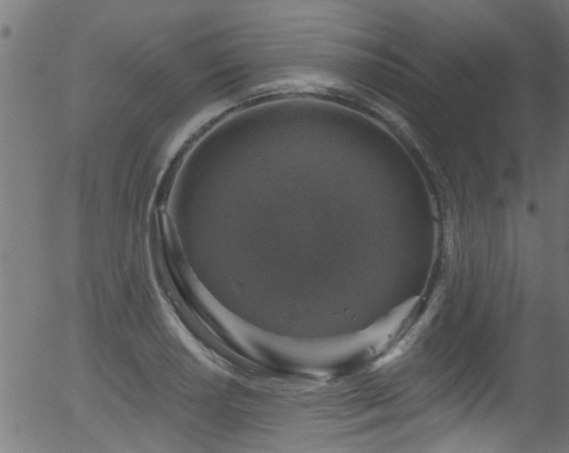 X0000056331034200508291247