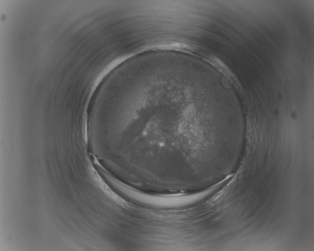 X0000056331036200508291247