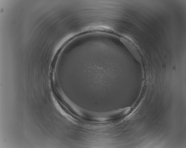 X0000056331038200508291247