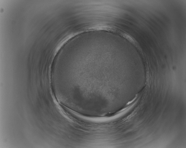 X0000056331039200508291247