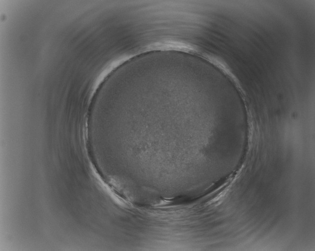 X0000056331040200508291247